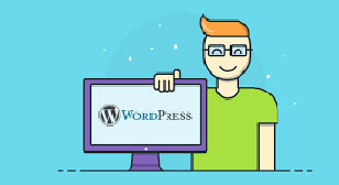 WORDPRESS DEVELOPER